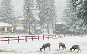Auslander Condos Red River